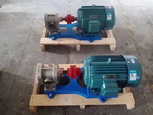 2CY stainless steel pump