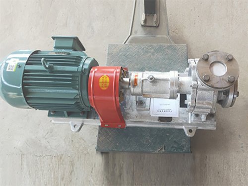 RY thermal oil pump