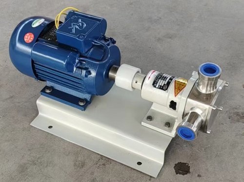 Flexible rotor pump