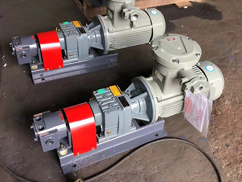 NYP inner ring high viscosity rotor pump