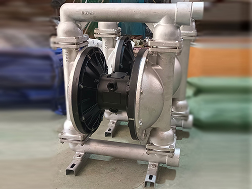 Pneumatic diaphragm pump